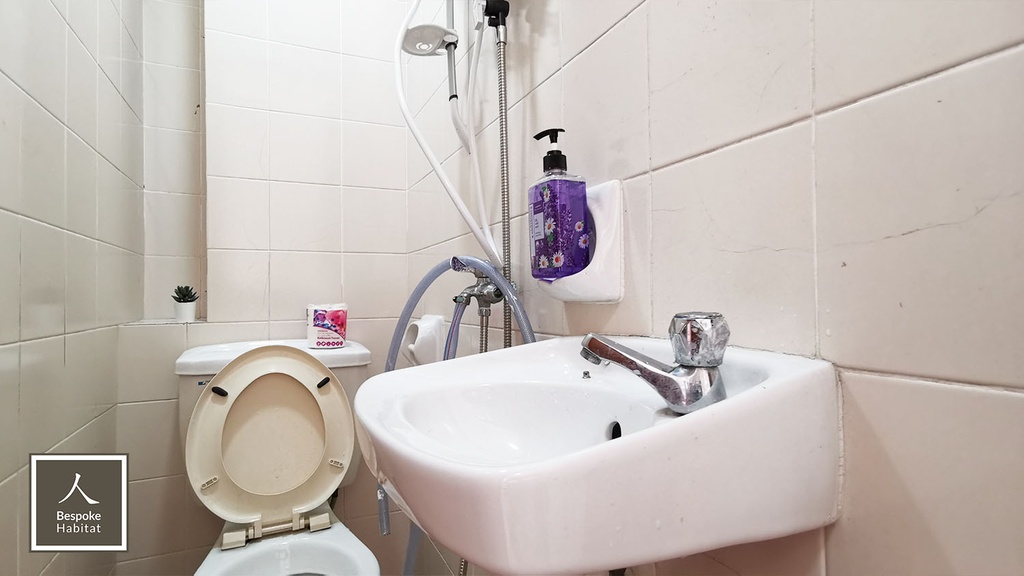 Common Toilet 2